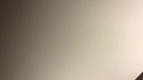 gingercockring online show from 9, 3, 2025