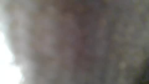 e-Bizl online show from 25, 2, 2025