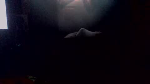 e-Bizl online show from 19, 10, 2025