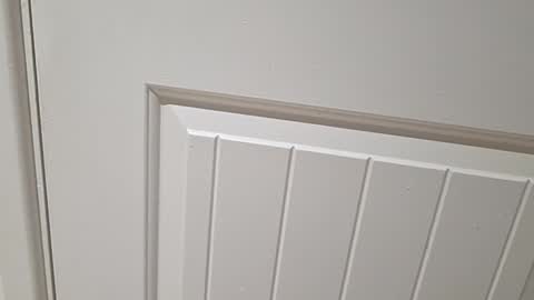 Snapshot of gloscam chatting on 23, 11, 2025 Gloscam online show from 23, 11, 2025