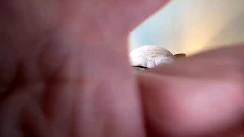 Snapshot of gngnxxx chatting on 7, 10, 2025 gngnxxx online show from 7, 10, 2025