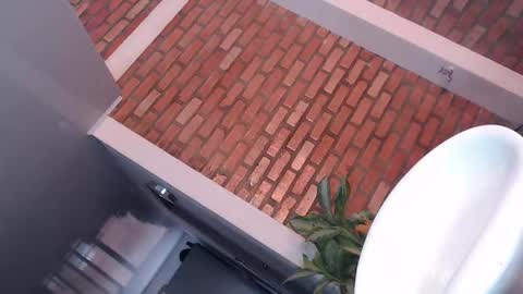 daniela online show from 9, 11, 2025