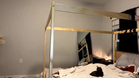 feyaa22 online show from 12, 1, 2025