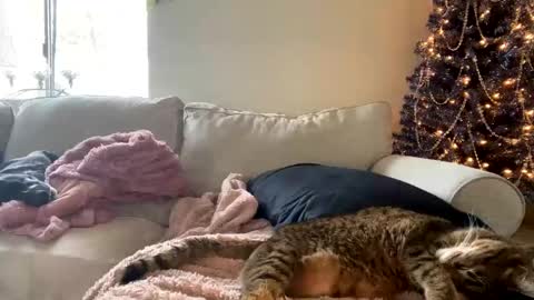 GoddessMayvn online show from 3, 12, 2024