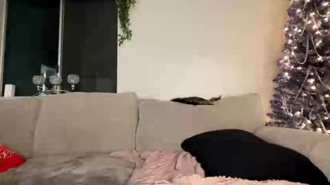 GoddessMayvn online show from 26, 12, 2024