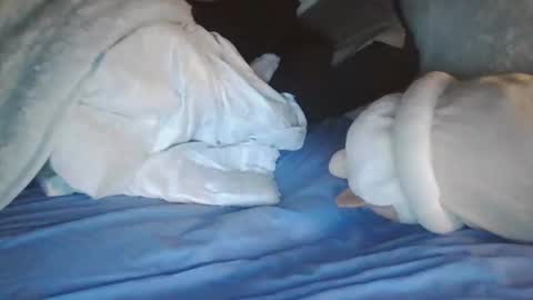 goodbiddings online show from 4, 1, 2025