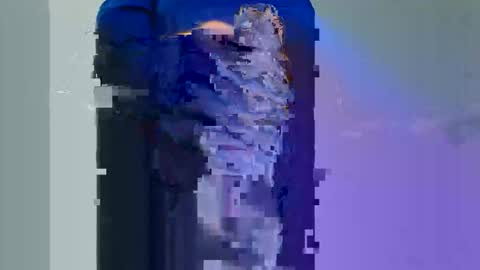 Snapshot of graben78 chatting on 30, 11, 2025 Longwood online show from 30, 11, 2025