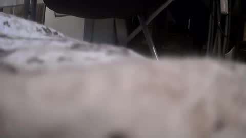 Get US to 1000 you wont be disapointed online show from 17, 1, 2026