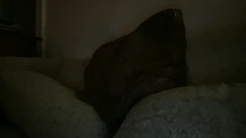 Snapshot of greenlova chatting on 25, 12, 2024 Sonny online show from 25, 12, 2024