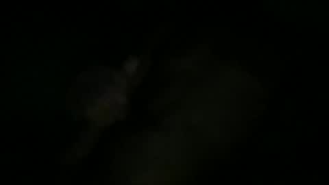 Snapshot of greenlova chatting on 11, 10, 2025 Sonny online show from 11, 10, 2025