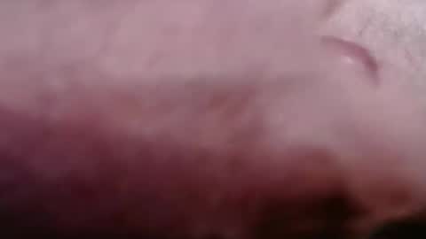 Snapshot of gregburns chatting on 21, 2, 2026 Greg online show from 21, 2, 2026