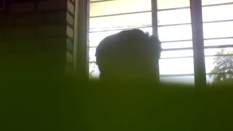 Snapshot of grey_stud chatting on 4, 1, 2025 Grey Stud online show from 4, 1, 2025