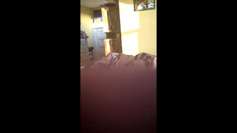 Snapshot of grizzely1975 chatting on 24, 11, 2025 grizzely1975 online show from 24, 11, 2025