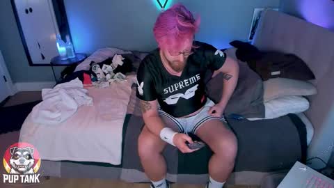 Alpha pup online show from 11, 11, 2025