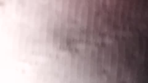 Gu online show from 20, 1, 2025