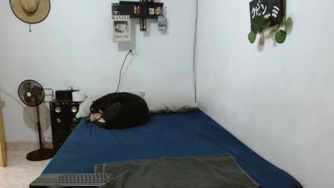 Guts online show from 6, 12, 2024