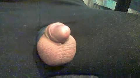 H4rdcock online show from 27, 3, 2026