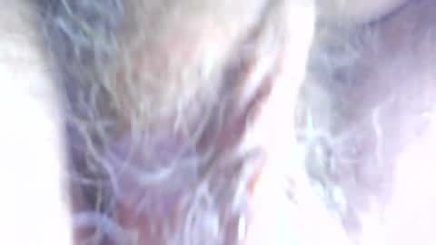 hagridthehorrible online show from 7, 4, 2026