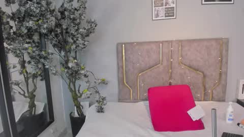 Snapshot of haileystonei chatting on 21, 11, 2025 haileystonei online show from 21, 11, 2025