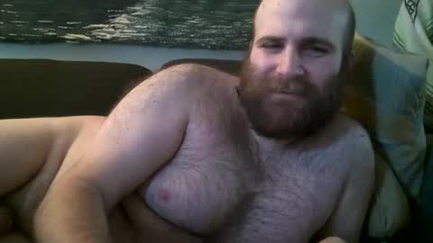 Hairiest Bear online show from 14, 12, 2024