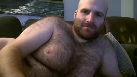 Hairiest Bear online show from 18, 2, 2025