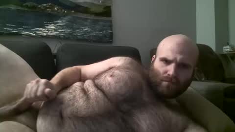 Hairiest Bear online show from 9, 3, 2025