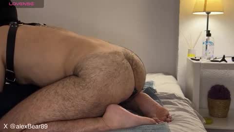 hairyarabbear online show from 13, 9, 2025