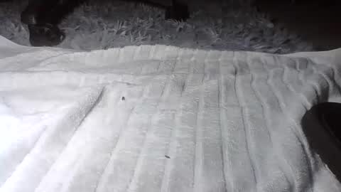 Hairy Daddy Feet online show from 21, 11, 2025