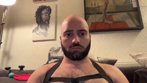 Snapshot of hairyleatherguy chatting on 2, 11, 2025 Hairy Guy online show from 2, 11, 2025