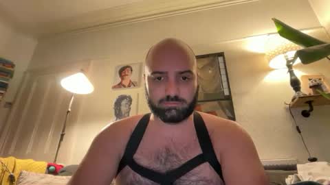 Snapshot of hairyleatherguy chatting on 16, 2, 2026 Hairy Guy online show from 16, 2, 2026