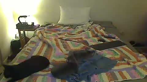 hammerthatthang73 online show from 18, 10, 2025