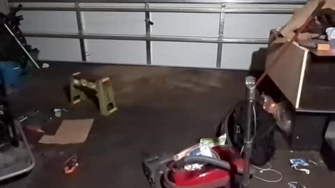 handsomerob42 online show from 23, 11, 2025