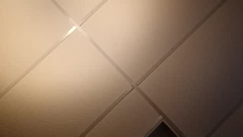 Snapshot of handycocky1 chatting on 23, 11, 2025 handycocky1 online show from 23, 11, 2025