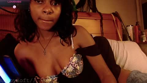 meatwad online show from 28, 2, 2025