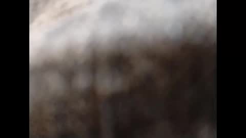 Snapshot of hardandhorny422 chatting on 11, 11, 2025 hardandhorny422 online show from 11, 11, 2025