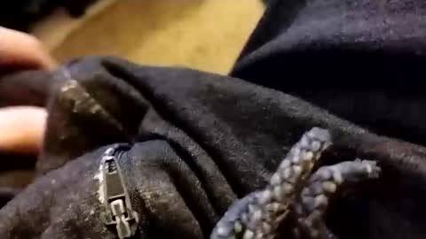 hardandhorny422 online show from 5, 2, 2026