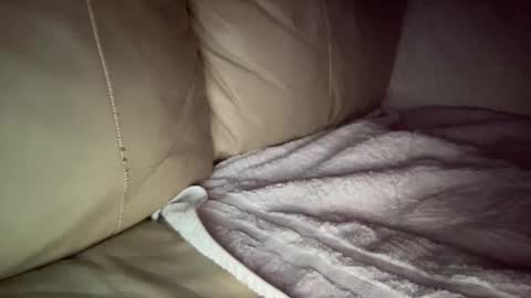 Snapshot of hardcock2622 chatting on 20, 12, 2024 Slim West Cox online show from 20, 12, 2024