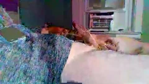 cervixpainter25 online show from 3, 11, 2025