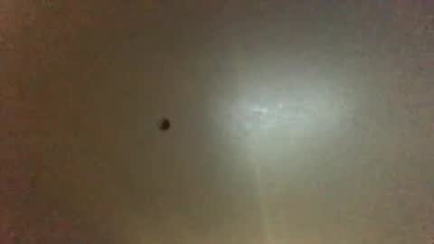 For You online show from 28, 9, 2025