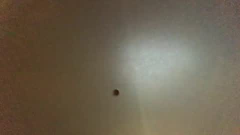 For You online show from 1, 10, 2025