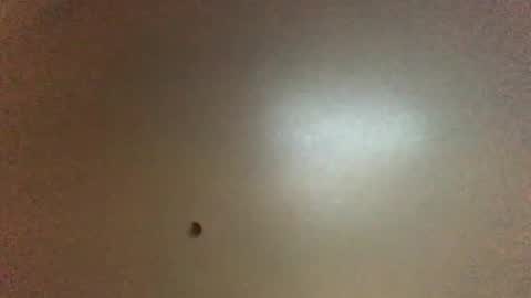 Snapshot of hardforyou3030 chatting on 1, 2, 2026 For You online show from 1, 2, 2026