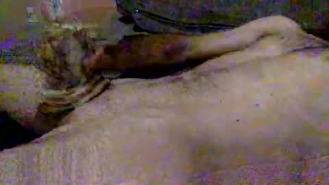 Snapshot of hardiebois chatting on 2, 11, 2025 Micheal online show from 2, 11, 2025