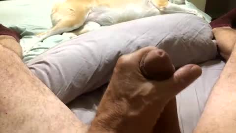 Harley99 online show from 11, 11, 2025