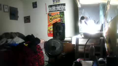 hbdj2164 online show from 18, 1, 2026