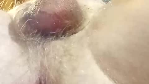 hcross2448 online show from 22, 2, 2025