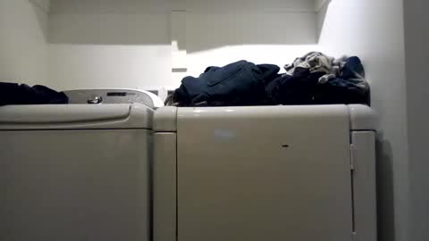 Snapshot of hdrsh08 chatting on 7, 12, 2024 hdrsh08 online show from 7, 12, 2024