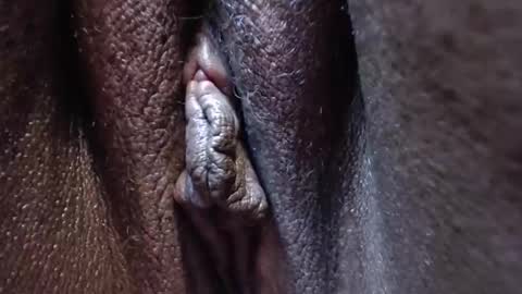 Heather online show from 28, 10, 2025