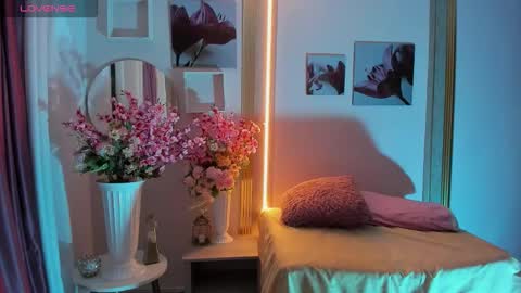 Snapshot of heidy_palmer chatting on 13, 2, 2026 Sara online show from 13, 2, 2026