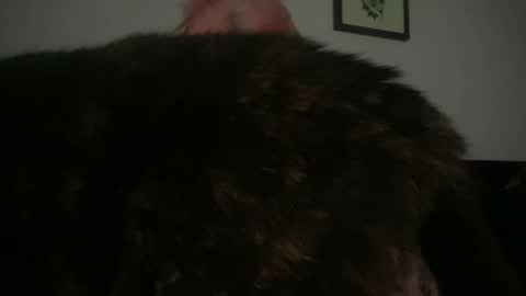 Snapshot of hell0kittyblood chatting on 2, 3, 2025 Bunnie Rotz online show from 2, 3, 2025