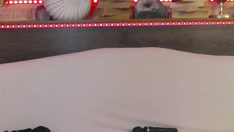 Snapshot of hellendesire chatting on 22, 2, 2025 online show from 22, 2, 2025